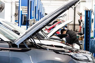 平行进口车 价格优势下的心理平衡探索